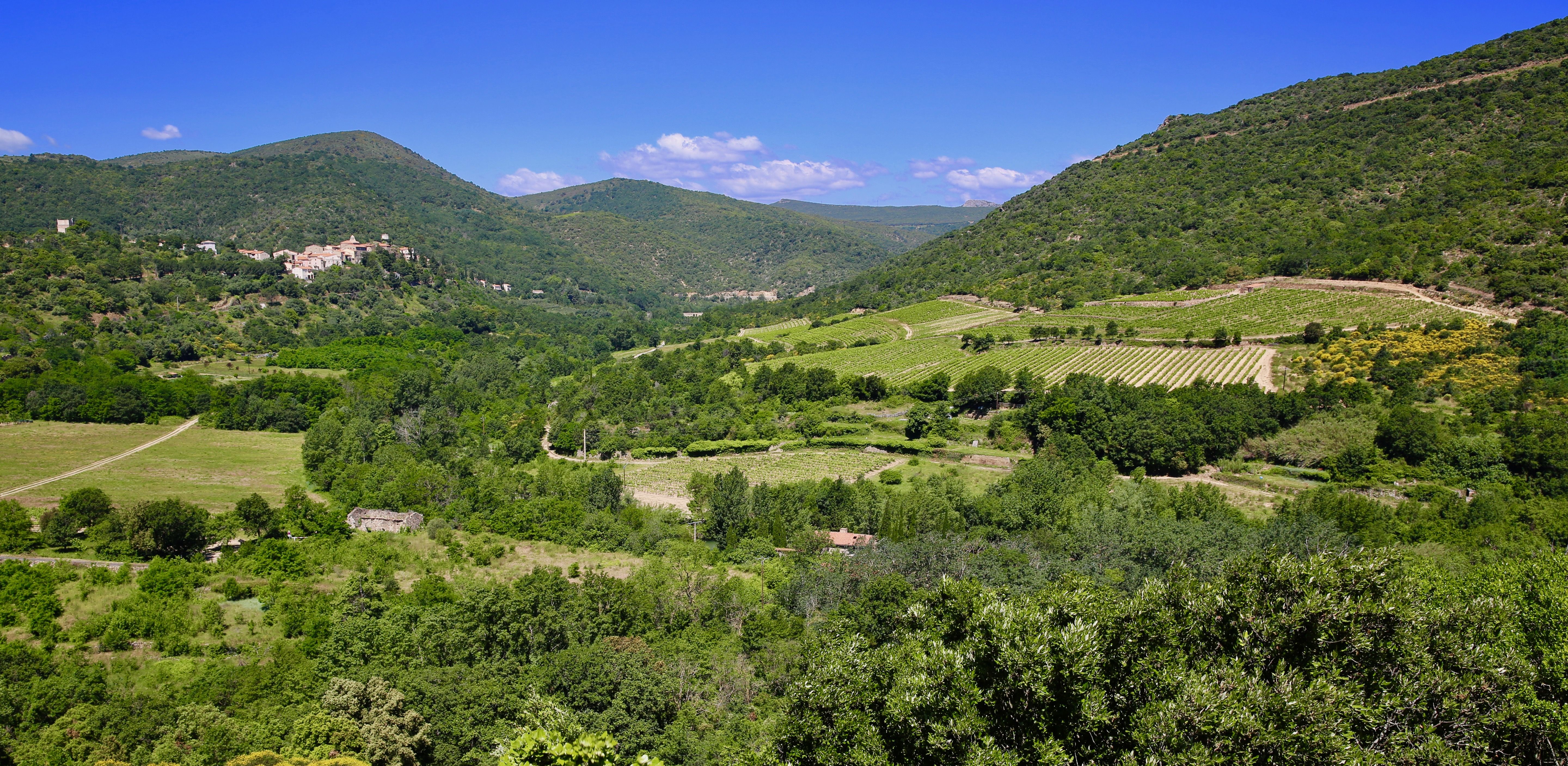 DOMAIN D'ANSIGNAN