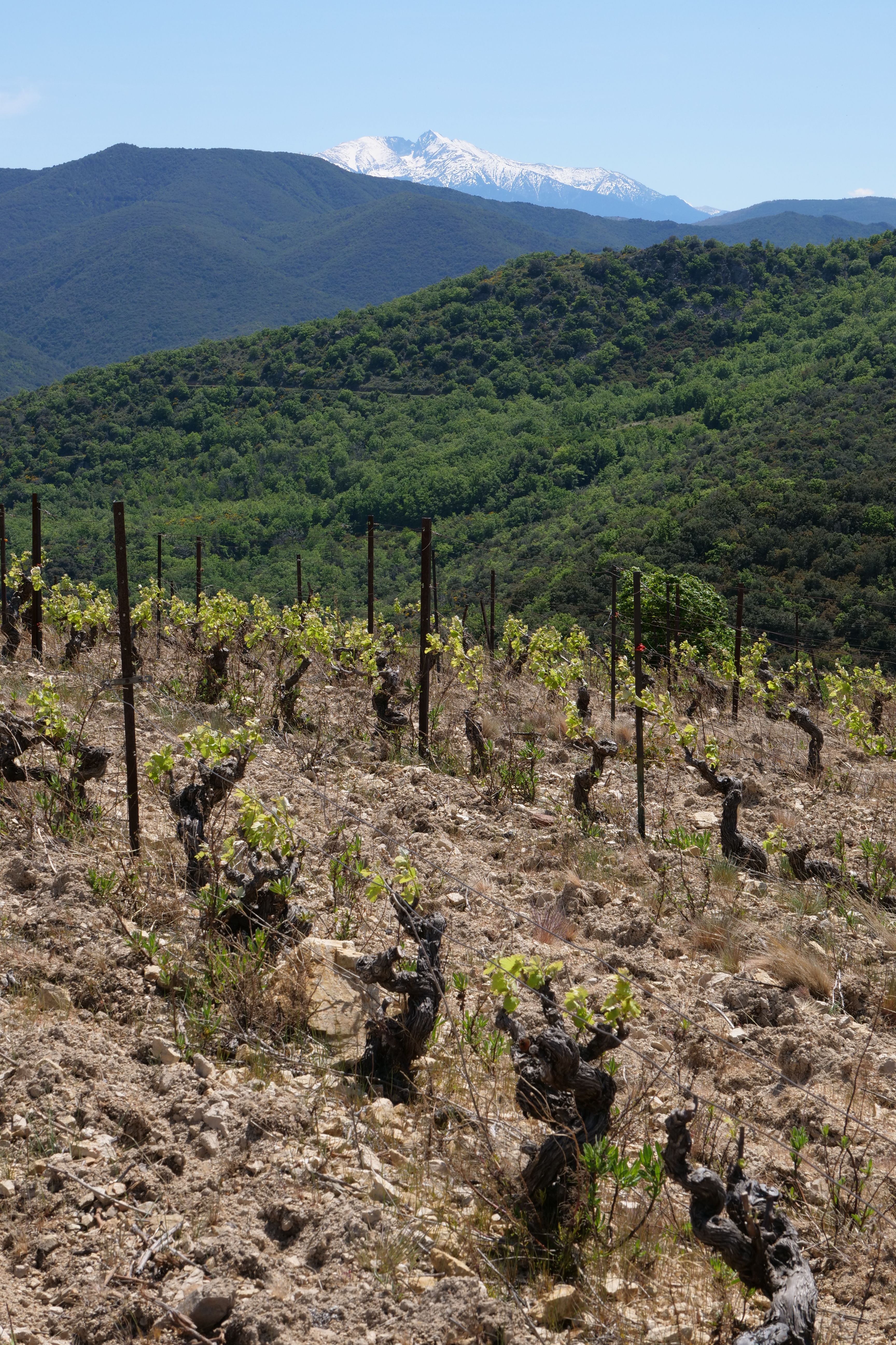 Domaine sous la Montagne